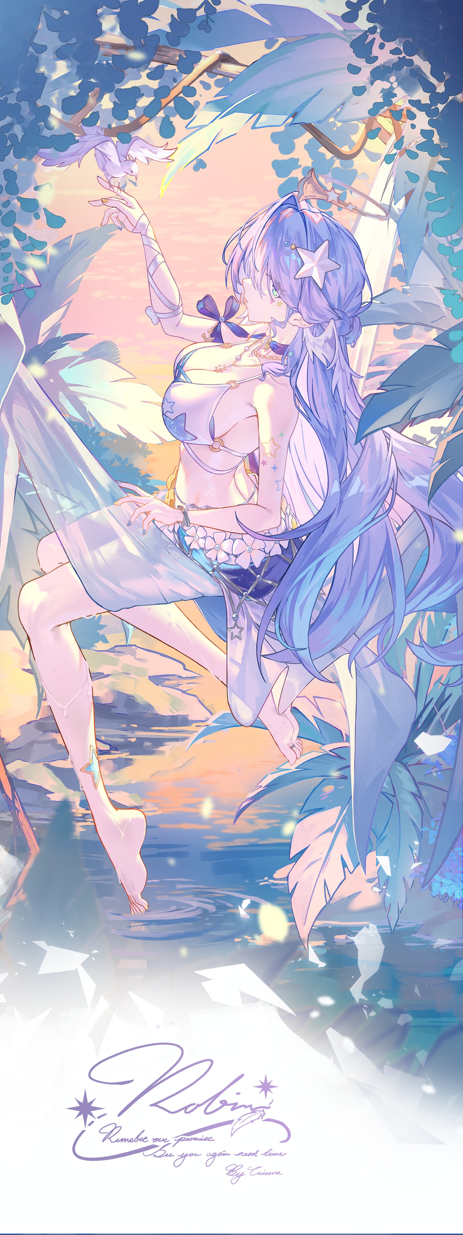 知更鸟与小鸟，水边的羽翼和晨光
